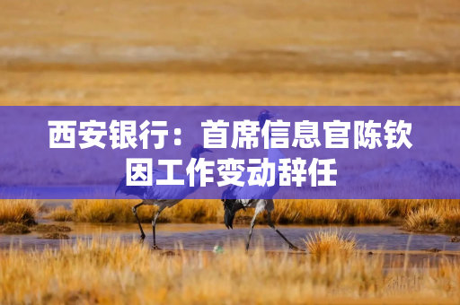 西安银行：首席信息官陈钦因工作变动辞任