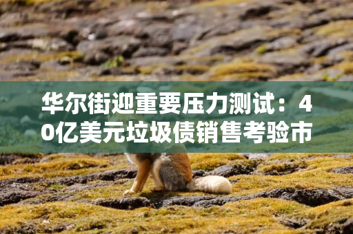 华尔街迎重要压力测试：40亿美元垃圾债销售考验市场信心