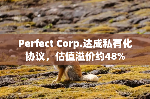 Perfect Corp.达成私有化协议，估值溢价约48%