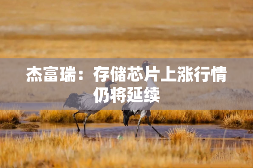 杰富瑞：存储芯片上涨行情仍将延续