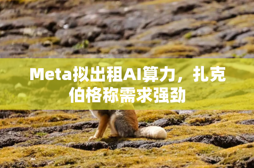 Meta拟出租AI算力，扎克伯格称需求强劲