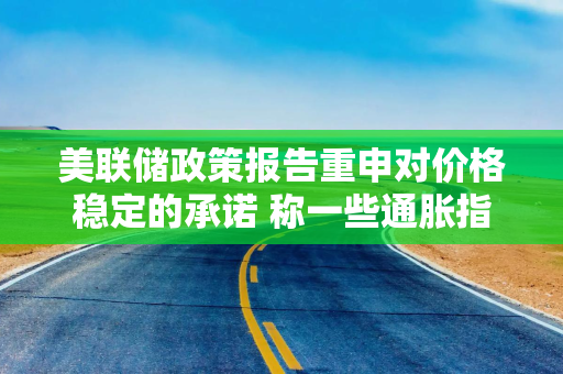 美联储政策报告重申对价格稳定的承诺 称一些通胀指标过去一年回落