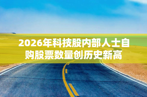 2026年科技股内部人士自购股票数量创历史新高
