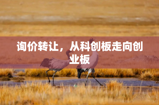 询价转让，从科创板走向创业板