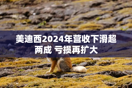 美迪西2024年营收下滑超两成 亏损再扩大