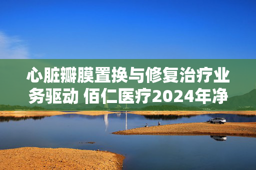心脏瓣膜置换与修复治疗业务驱动 佰仁医疗2024年净利攀升27%
