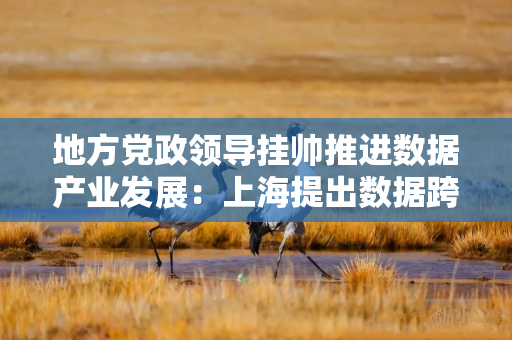 地方党政领导挂帅推进数据产业发展：上海提出数据跨境流动，贵州开展公共数据授权运营