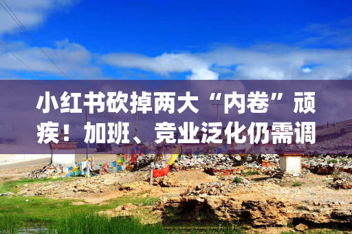 小红书砍掉两大“内卷”顽疾！加班、竞业泛化仍需调整与博弈 | ESG这些事