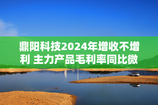 鼎阳科技2024年增收不增利 主力产品毛利率同比微降