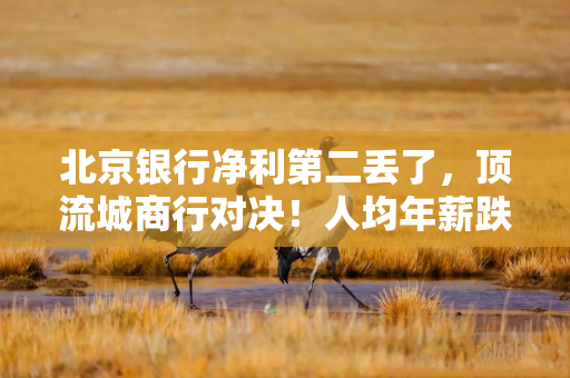 北京银行净利第二丢了，顶流城商行对决！人均年薪跌破58万，有高管降薪百万