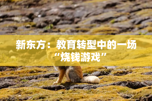 新东方：教育转型中的一场“烧钱游戏”