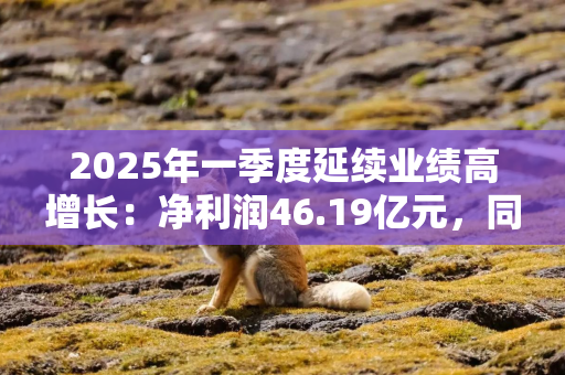 2025年一季度延续业绩高增长：净利润46.19亿元，同比增长287.87%