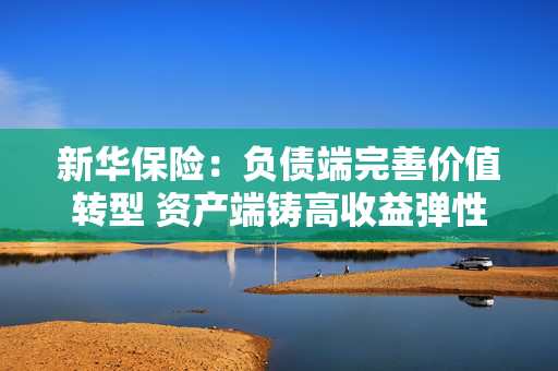 新华保险：负债端完善价值转型 资产端铸高收益弹性