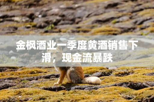 金枫酒业一季度黄酒销售下滑，现金流暴跌
