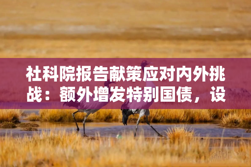 社科院报告献策应对内外挑战：额外增发特别国债，设2万亿平准基金