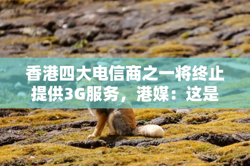 香港四大电信商之一将终止提供3G服务，港媒：这是“一个时代的结束”