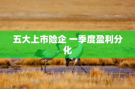 五大上市险企 一季度盈利分化