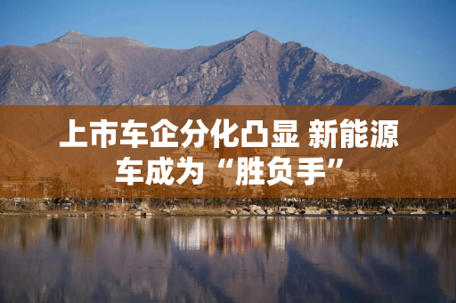 上市车企分化凸显 新能源车成为“胜负手”