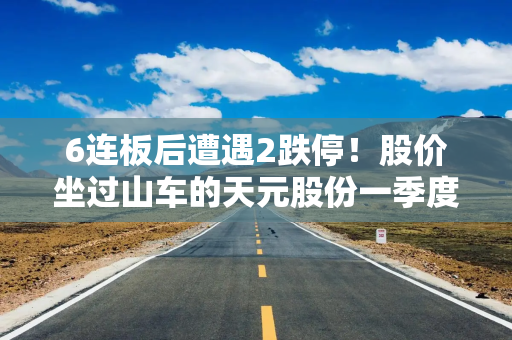 6连板后遭遇2跌停！股价坐过山车的天元股份一季度营收净利双降