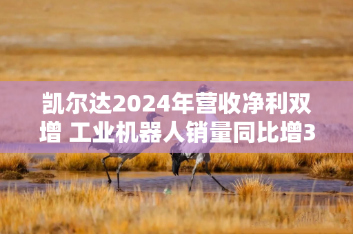 凯尔达2024年营收净利双增 工业机器人销量同比增36.16%