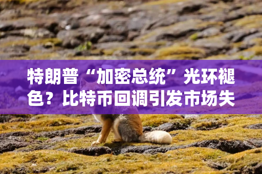 特朗普“加密总统”光环褪色？比特币回调引发市场失望情绪