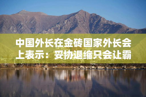 中国外长在金砖国家外长会上表示：妥协退缩只会让霸凌者得寸进尺