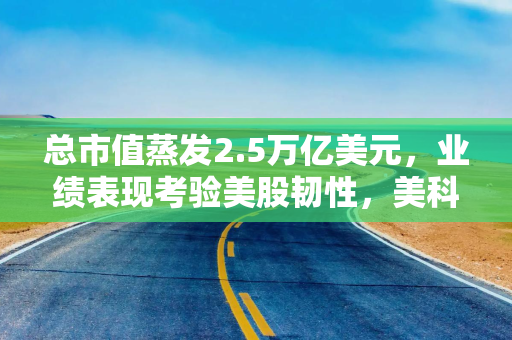 总市值蒸发2.5万亿美元，业绩表现考验美股韧性，美科技巨头财报季深陷“关税焦虑”