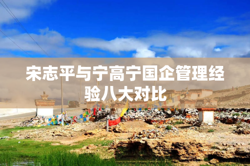 宋志平与宁高宁国企管理经验八大对比