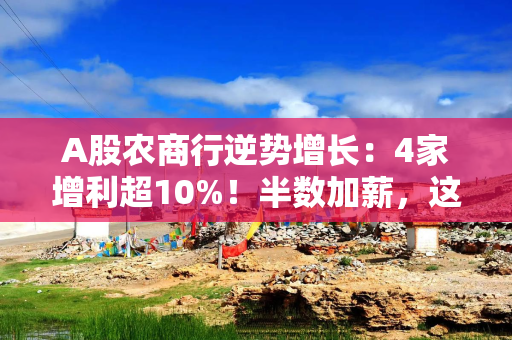 A股农商行逆势增长：4家增利超10%！半数加薪，这家银行董事长年薪最高