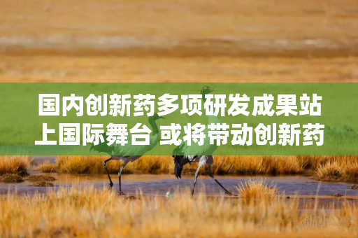 国内创新药多项研发成果站上国际舞台 或将带动创新药板块增长