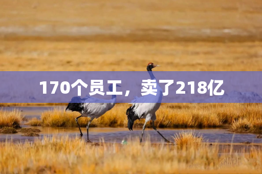 170个员工，卖了218亿