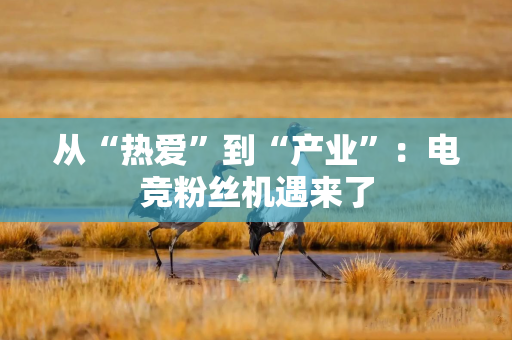从“热爱”到“产业”：电竞粉丝机遇来了