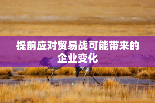 提前应对贸易战可能带来的企业变化