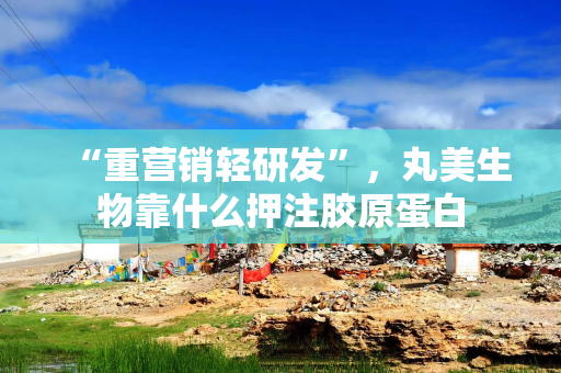 “重营销轻研发”，丸美生物靠什么押注胶原蛋白