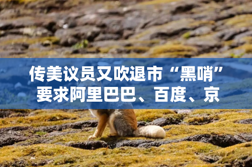 传美议员又吹退市“黑哨” 要求阿里巴巴、百度、京东等公司从美股摘牌