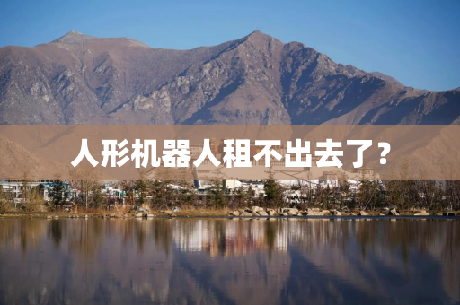 人形机器人租不出去了？