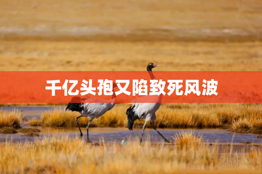 千亿头孢又陷致死风波