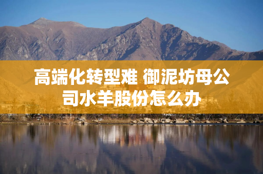 高端化转型难 御泥坊母公司水羊股份怎么办