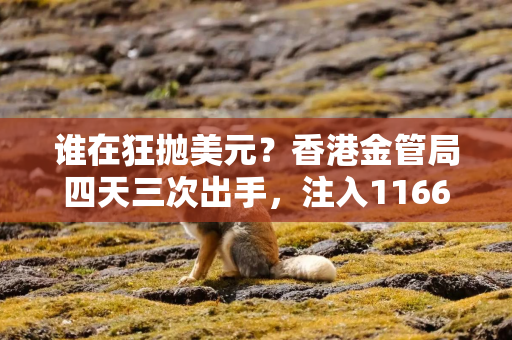 谁在狂抛美元？香港金管局四天三次出手，注入1166亿港元拉美元，创下历史纪录
