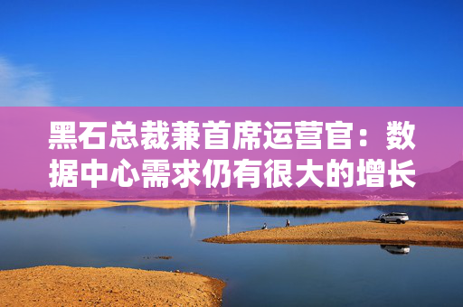 黑石总裁兼首席运营官：数据中心需求仍有很大的增长空间