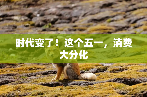 时代变了！这个五一，消费大分化