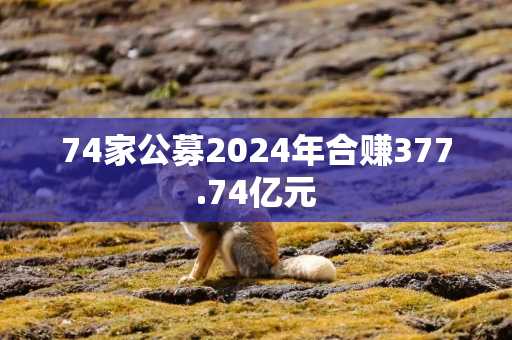 74家公募2024年合赚377.74亿元