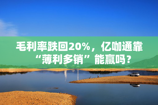 毛利率跌回20%，亿咖通靠“薄利多销”能赢吗？