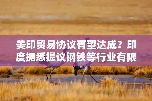 美印贸易协议有望达成？印度据悉提议钢铁等行业有限互免关税