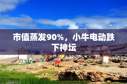 市值蒸发90%，小牛电动跌下神坛