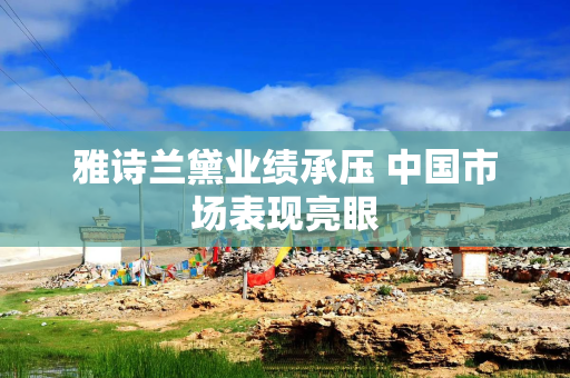雅诗兰黛业绩承压 中国市场表现亮眼