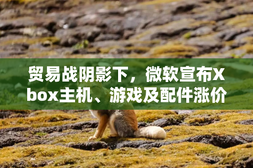 贸易战阴影下，微软宣布Xbox主机、游戏及配件涨价