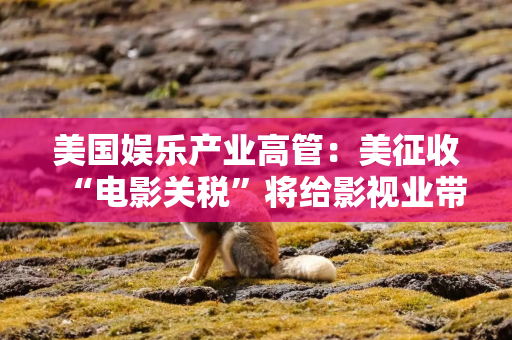 美国娱乐产业高管：美征收“电影关税”将给影视业带来“毁灭性打击”
