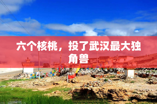 六个核桃，投了武汉最大独角兽