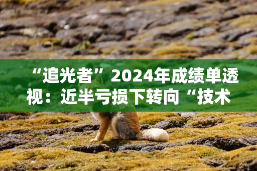 “追光者”2024年成绩单透视：近半亏损下转向“技术战”